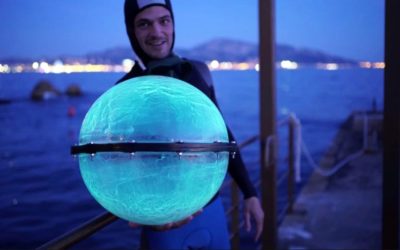 Documentaire sur la bioluminescence