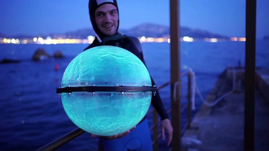Documentaire sur la bioluminescence
